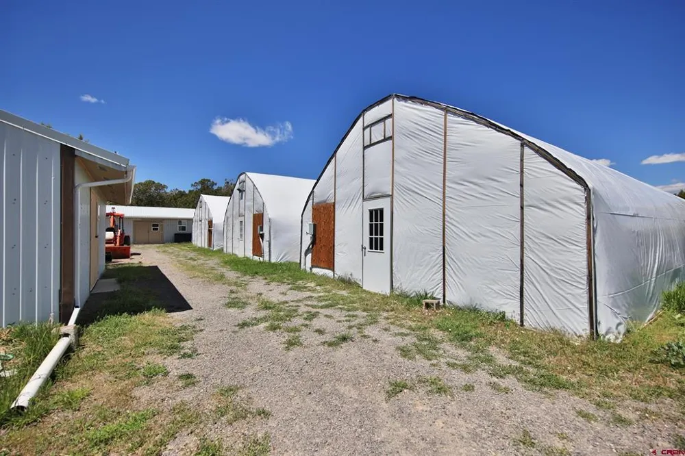 57191 ME ROAD Collbran, CO 81624