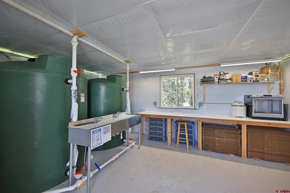 57191 ME ROAD Collbran, CO 81624