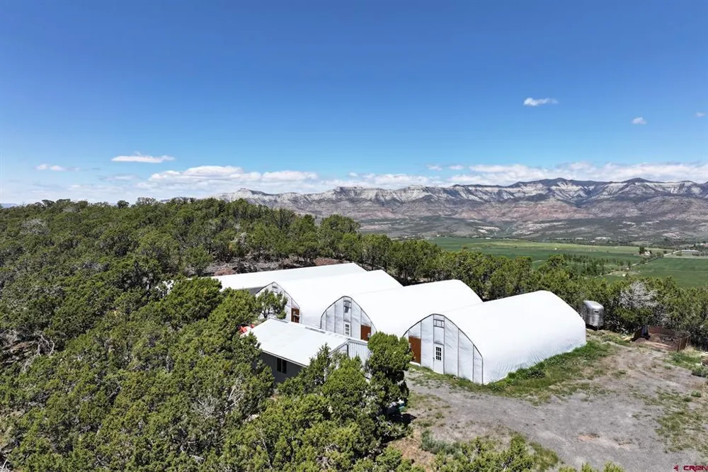 57191 ME ROAD Collbran, CO 81624