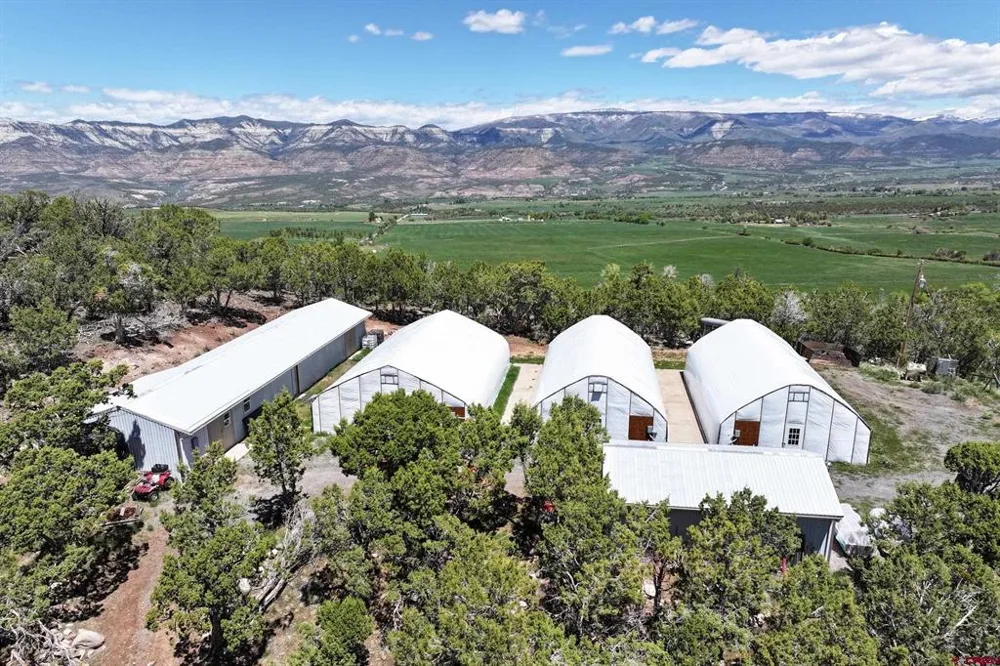57191 ME ROAD Collbran, CO 81624