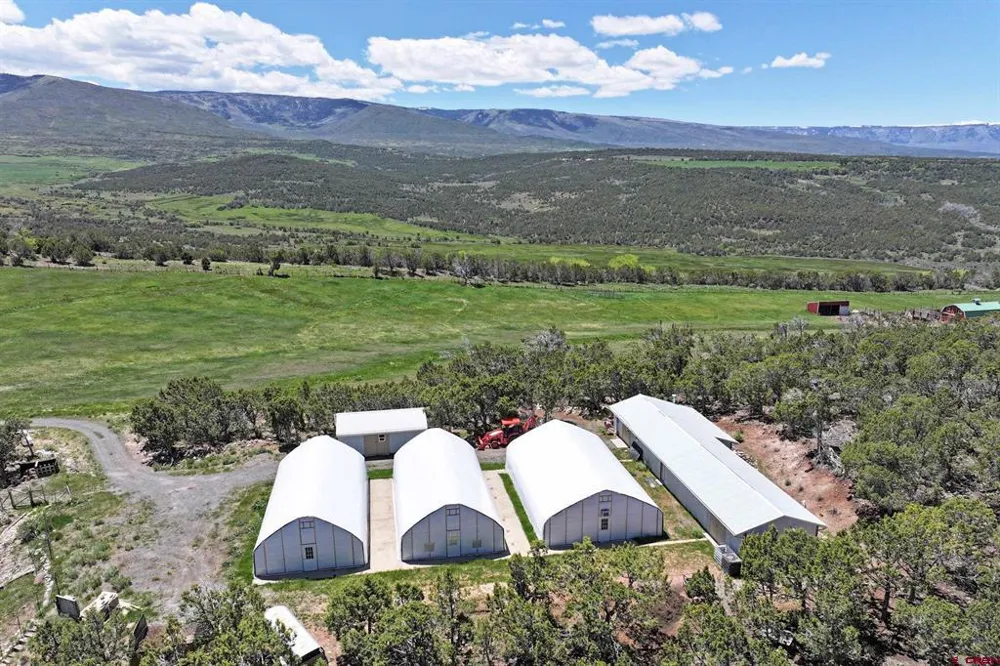 57191 ME ROAD Collbran, CO 81624
