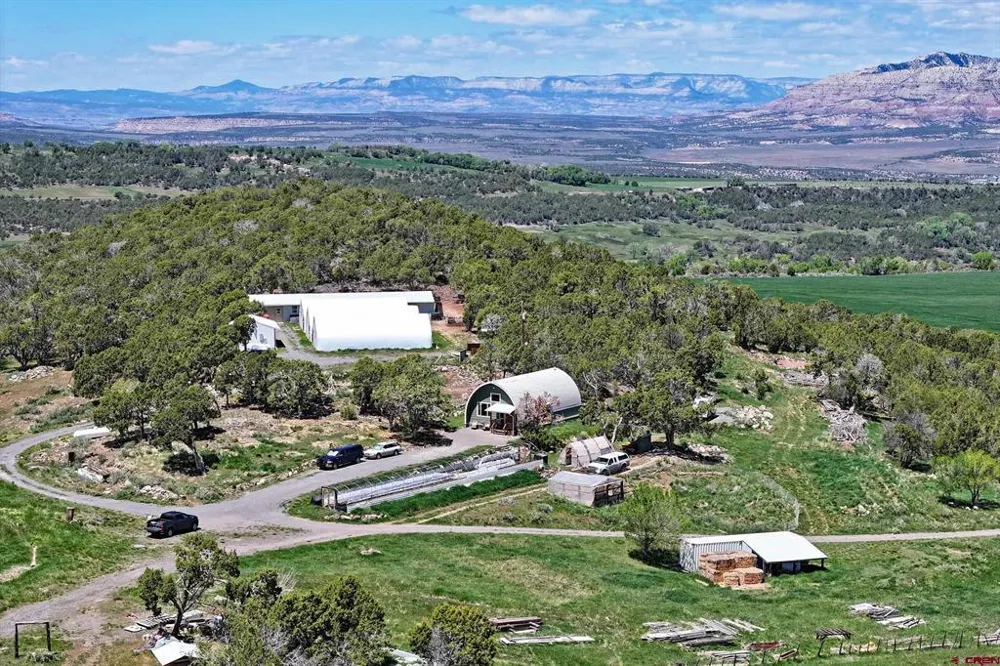 57191 ME ROAD Collbran, CO 81624