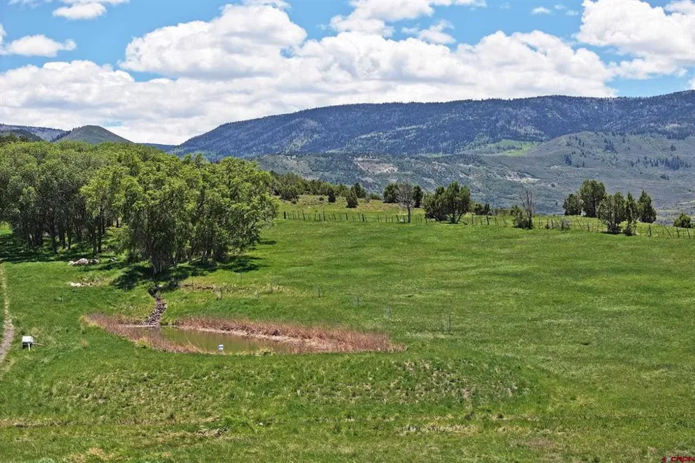 57191 ME ROAD Collbran, CO 81624