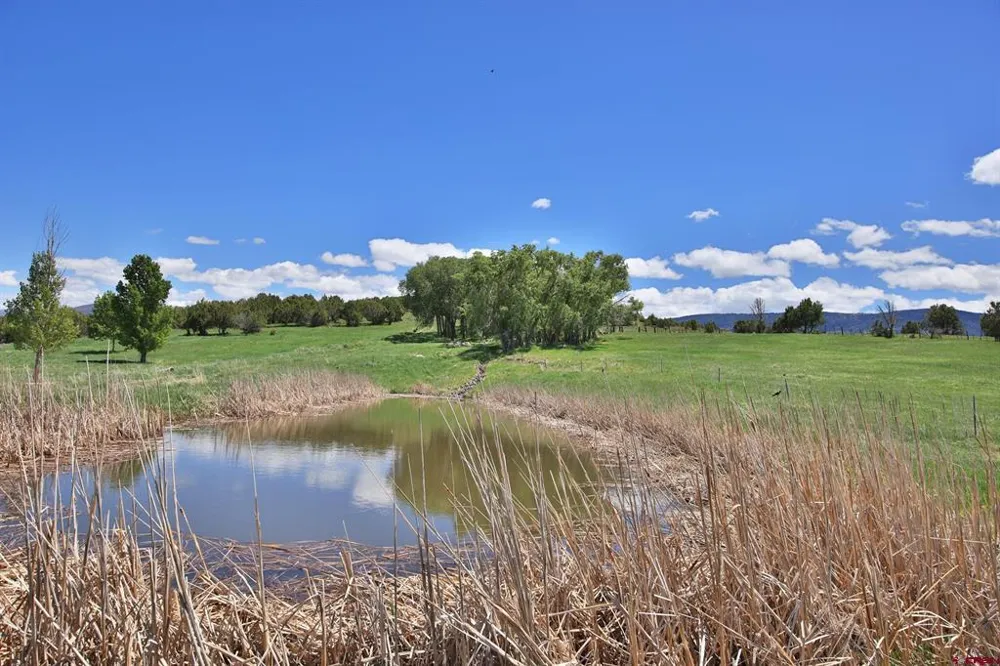 57191 ME ROAD Collbran, CO 81624