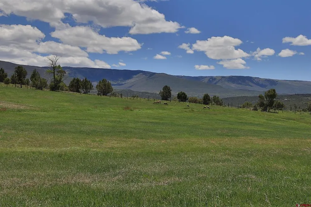 57191 ME ROAD Collbran, CO 81624