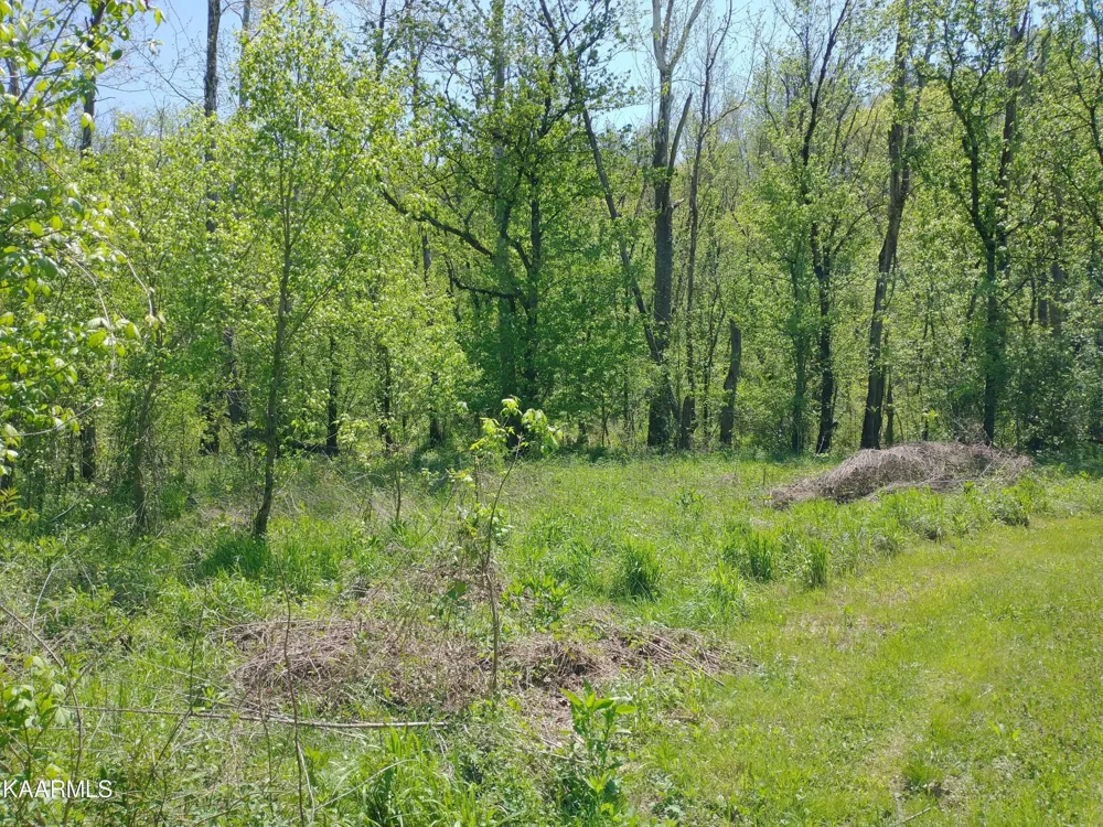 420 Winding Ridge Tr Seymour, TN 37865
