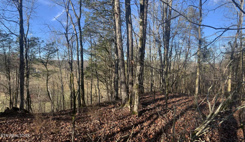 420 Winding Ridge Tr Seymour, TN 37865