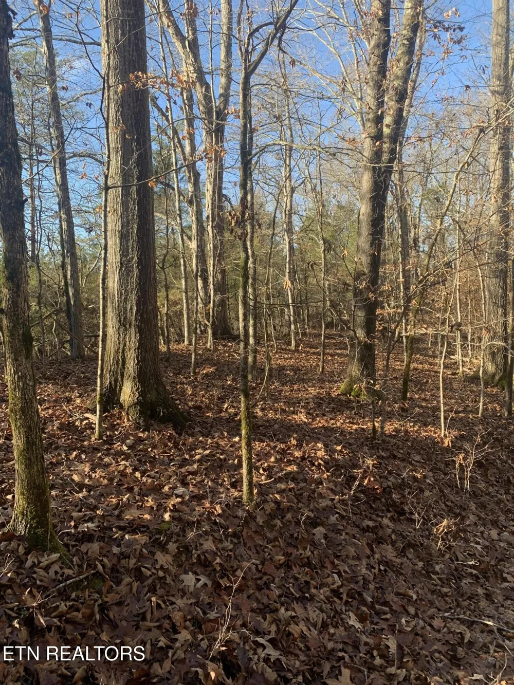 420 Winding Ridge Tr Seymour, TN 37865
