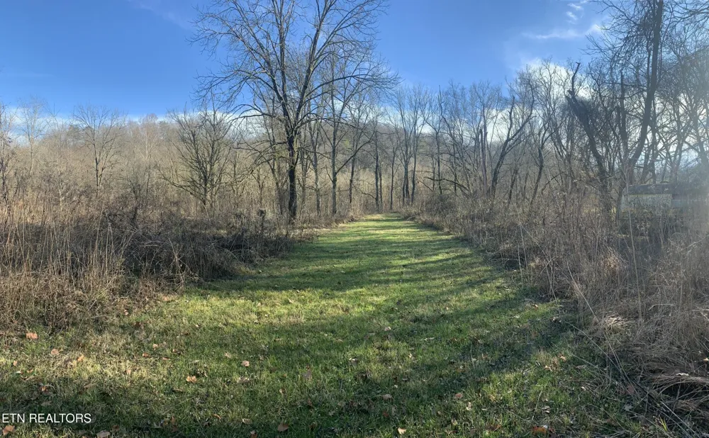 420 Winding Ridge Tr Seymour, TN 37865