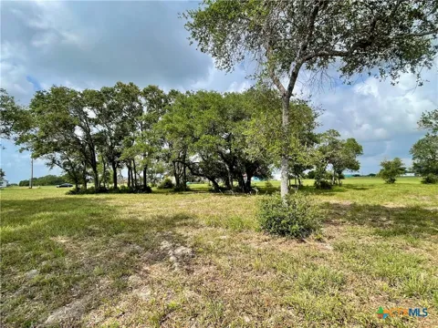 67 W Dewberry Lane