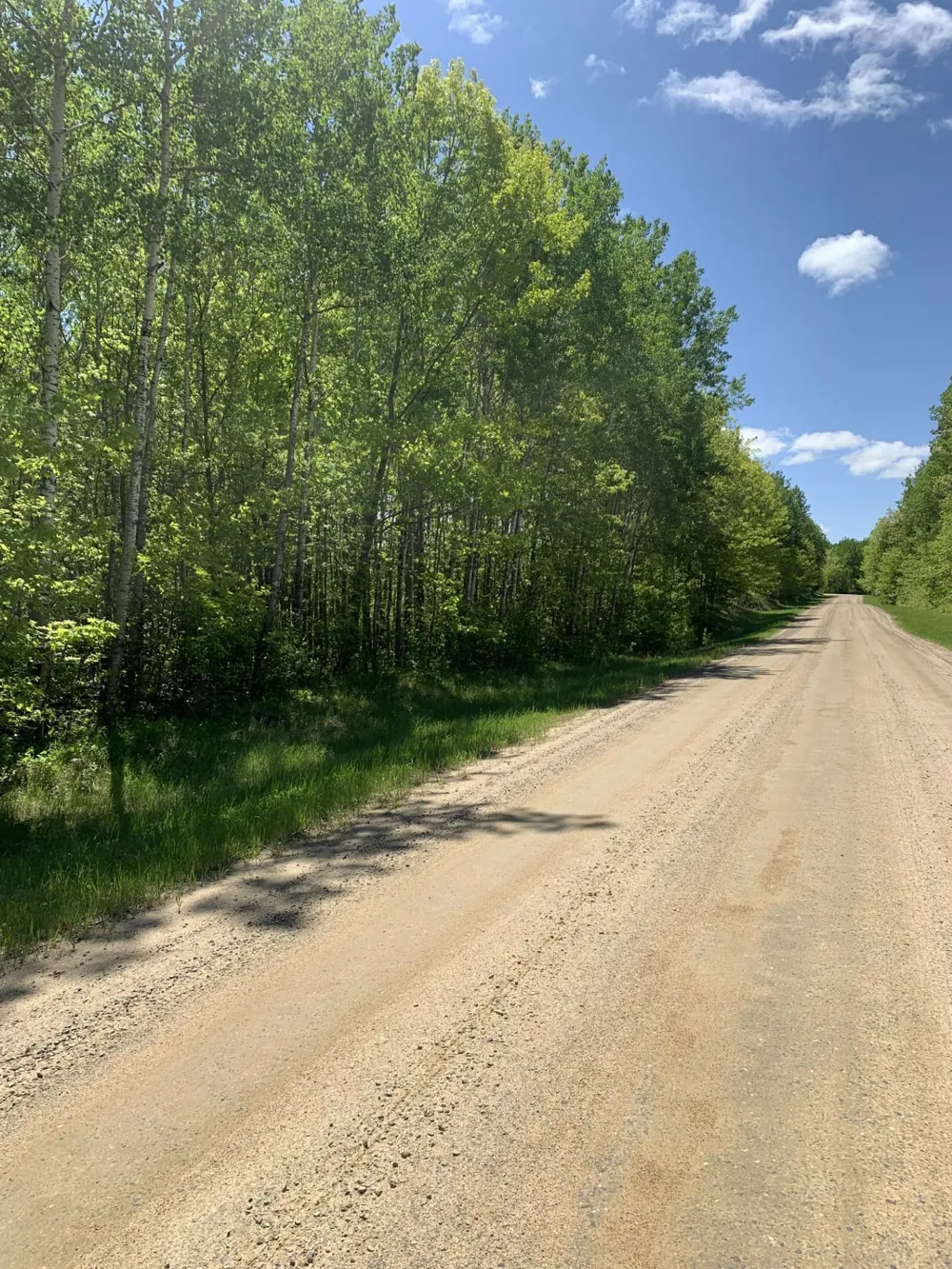 TBD 63rd Ave N Walker, MN 56484