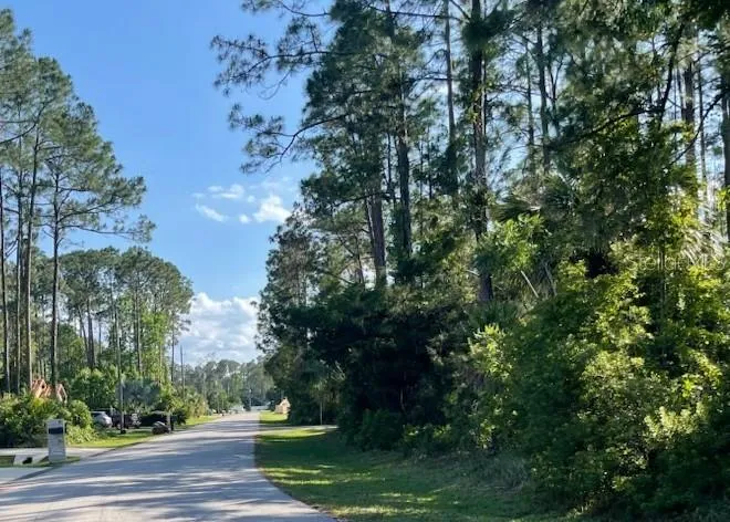 33 PONDEROSA LANE Palm Coast, FL 32164
