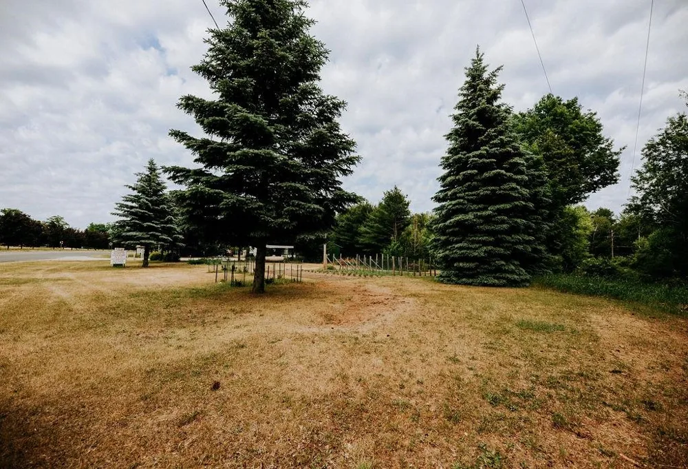 11184 Mill Street Leelanau Township, MI 49670