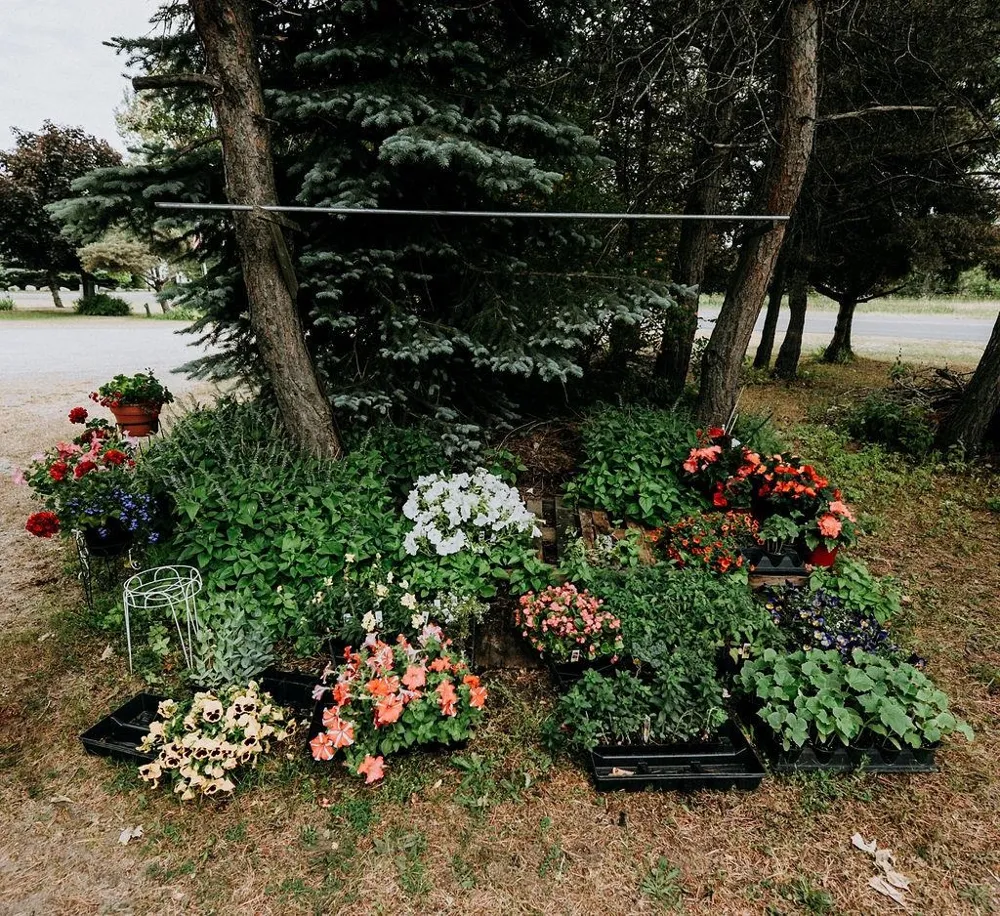11184 Mill Street Leelanau Township, MI 49670