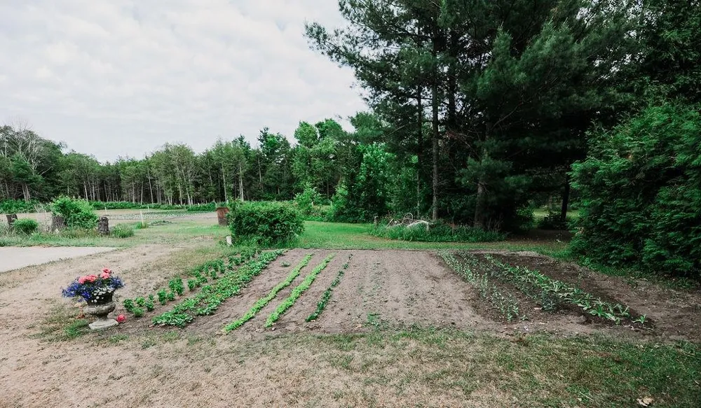 11184 Mill Street Leelanau Township, MI 49670