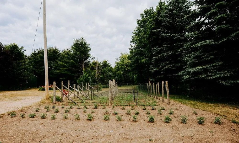 11184 Mill Street Leelanau Township, MI 49670