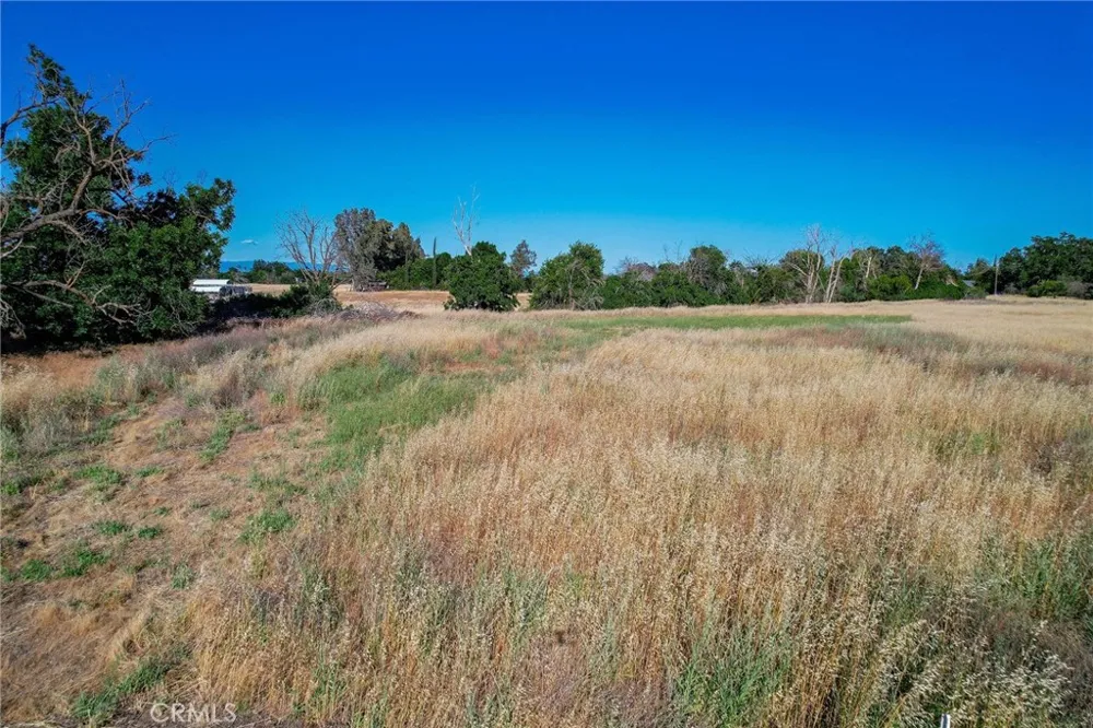 County Road DD Orland, CA 95963