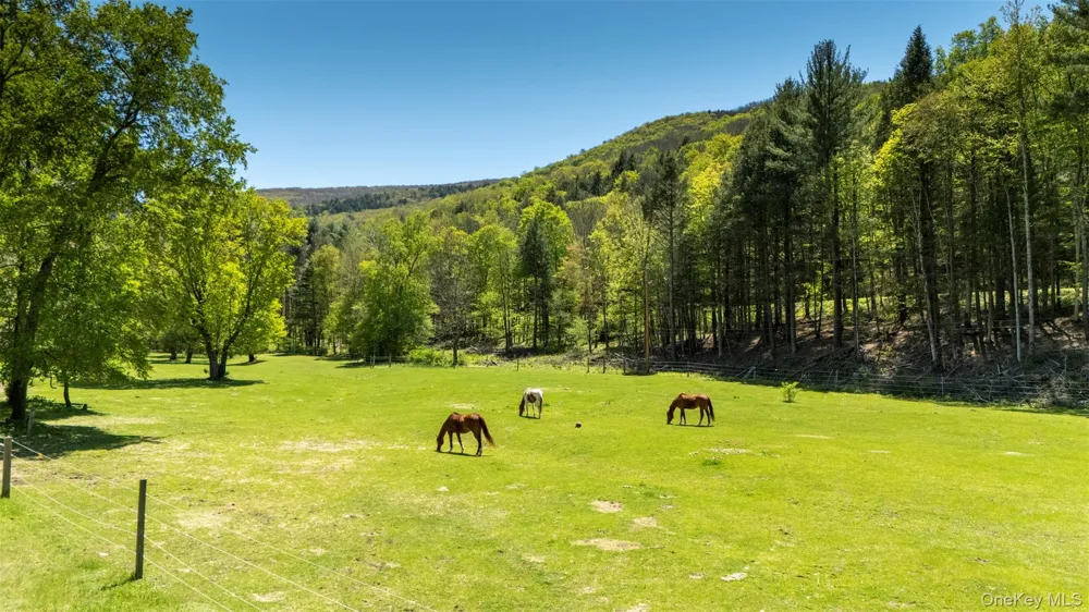 390 Erpf Road Arkville, NY 12406