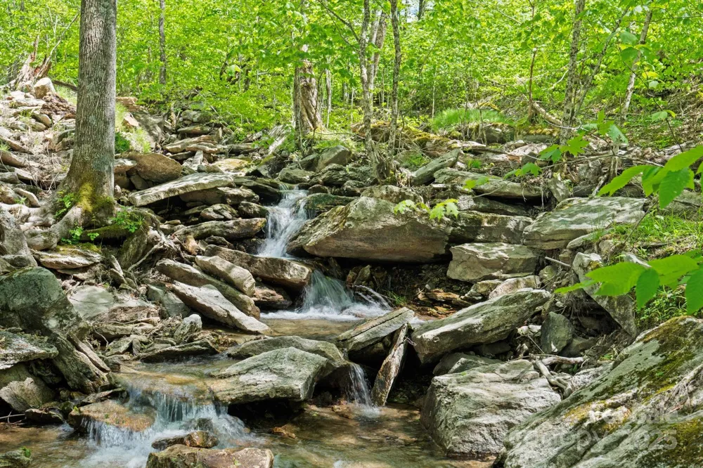 140 Spruce Hollow Road Beech Mountain, NC 28604