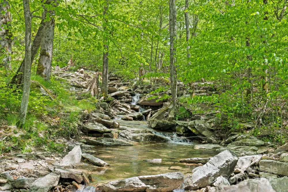140 Spruce Hollow Road Beech Mountain, NC 28604