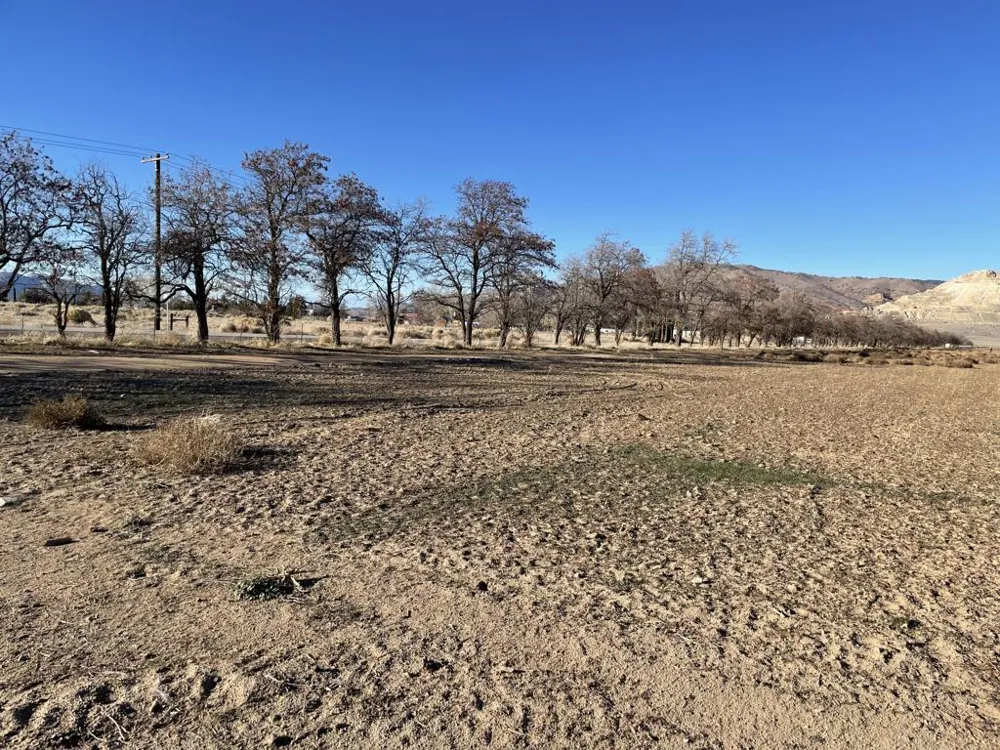 20028 Tehachapi Willow Springs Road Tehachapi, CA 93561