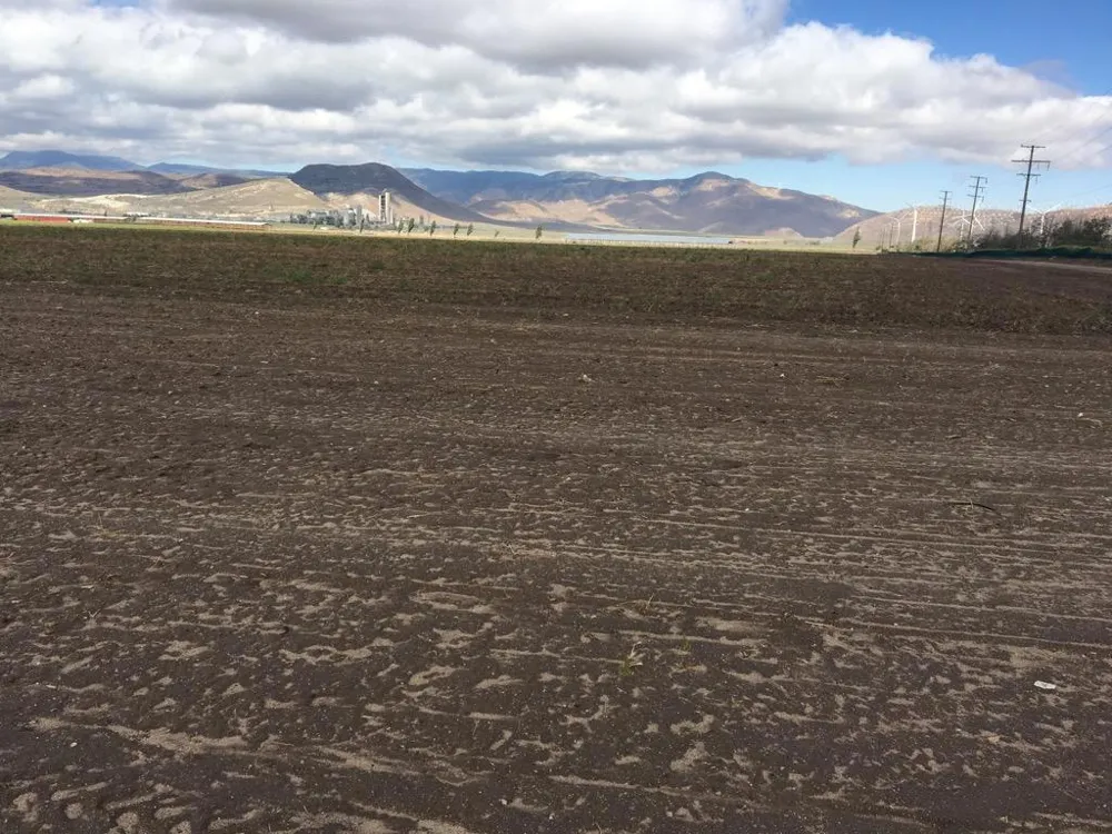 20028 Tehachapi Willow Springs Road Tehachapi, CA 93561