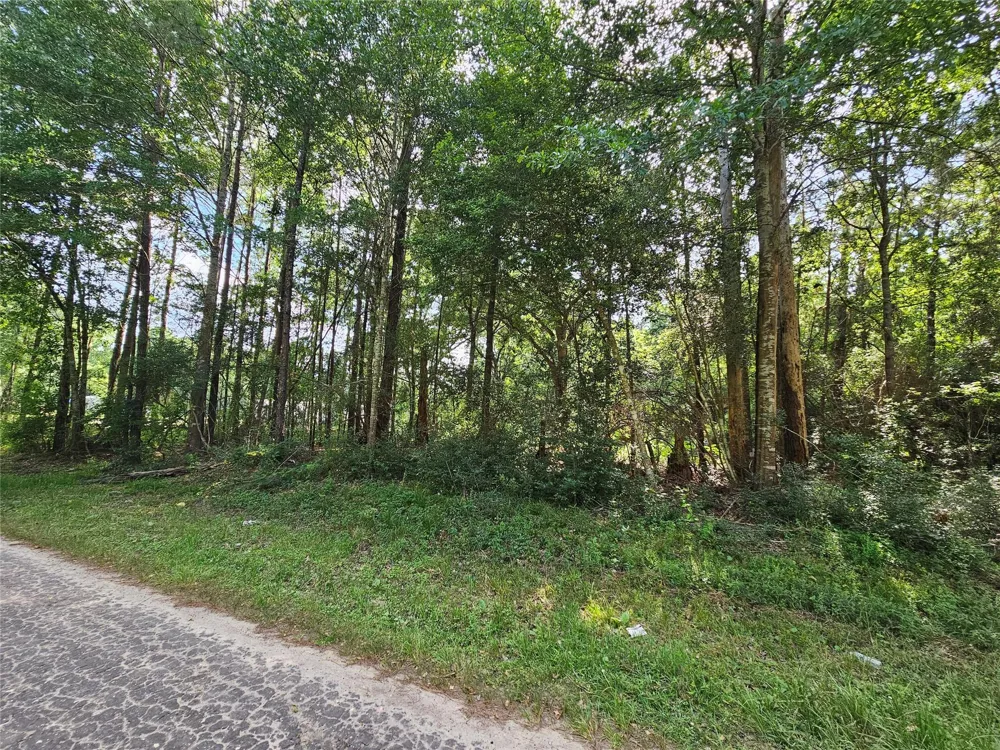 185 Sessums Road Silsbee, TX 77656