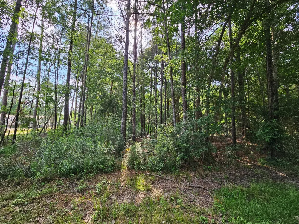 185 Sessums Road Silsbee, TX 77656
