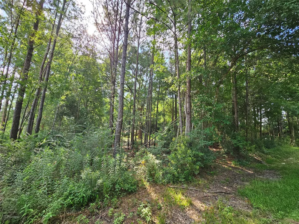 185 Sessums Road Silsbee, TX 77656