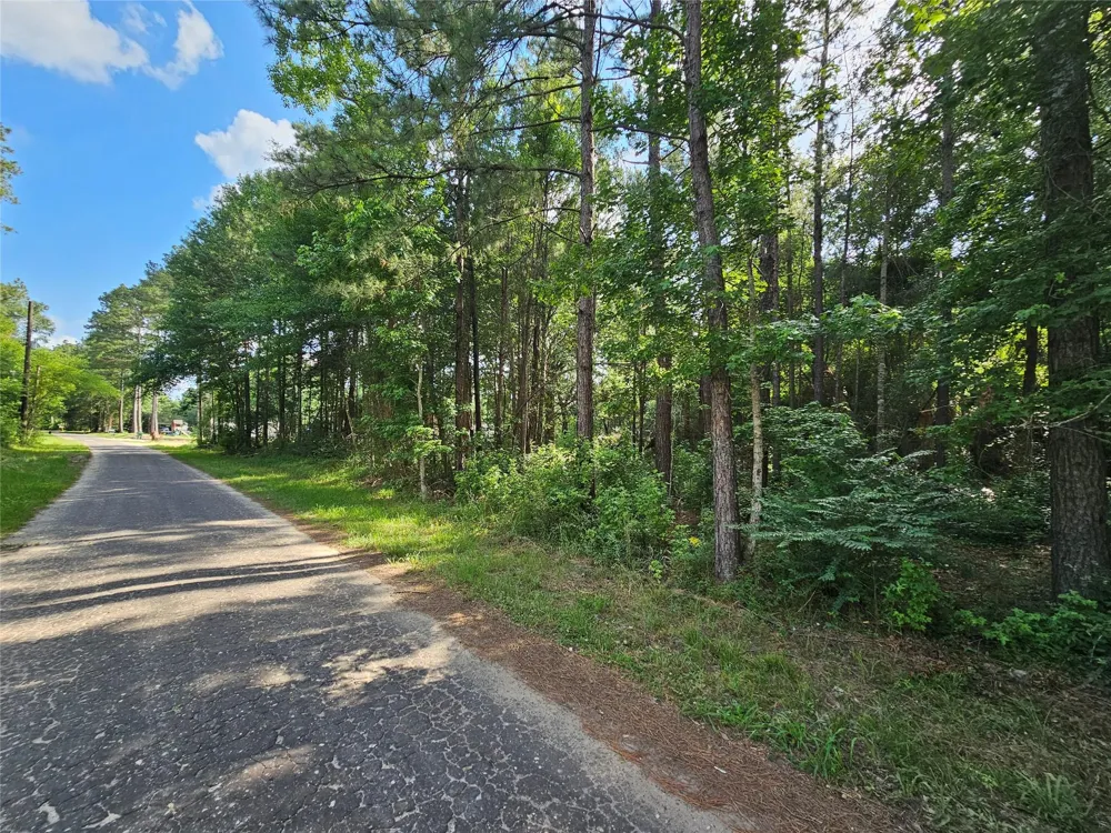 185 Sessums Road Silsbee, TX 77656