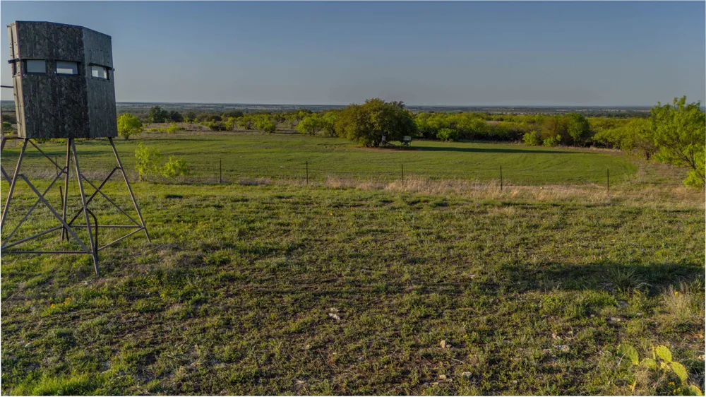 1952 FM 1689 Comanche, TX 76442