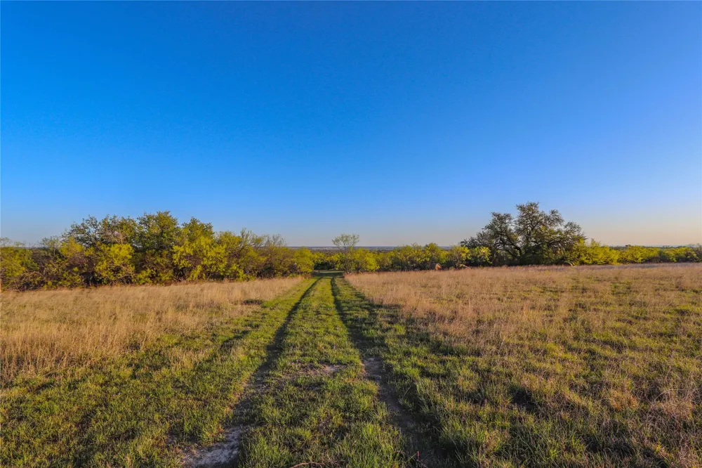 1952 FM 1689 Comanche, TX 76442
