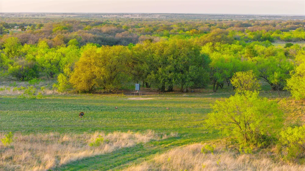 1952 FM 1689 Comanche, TX 76442