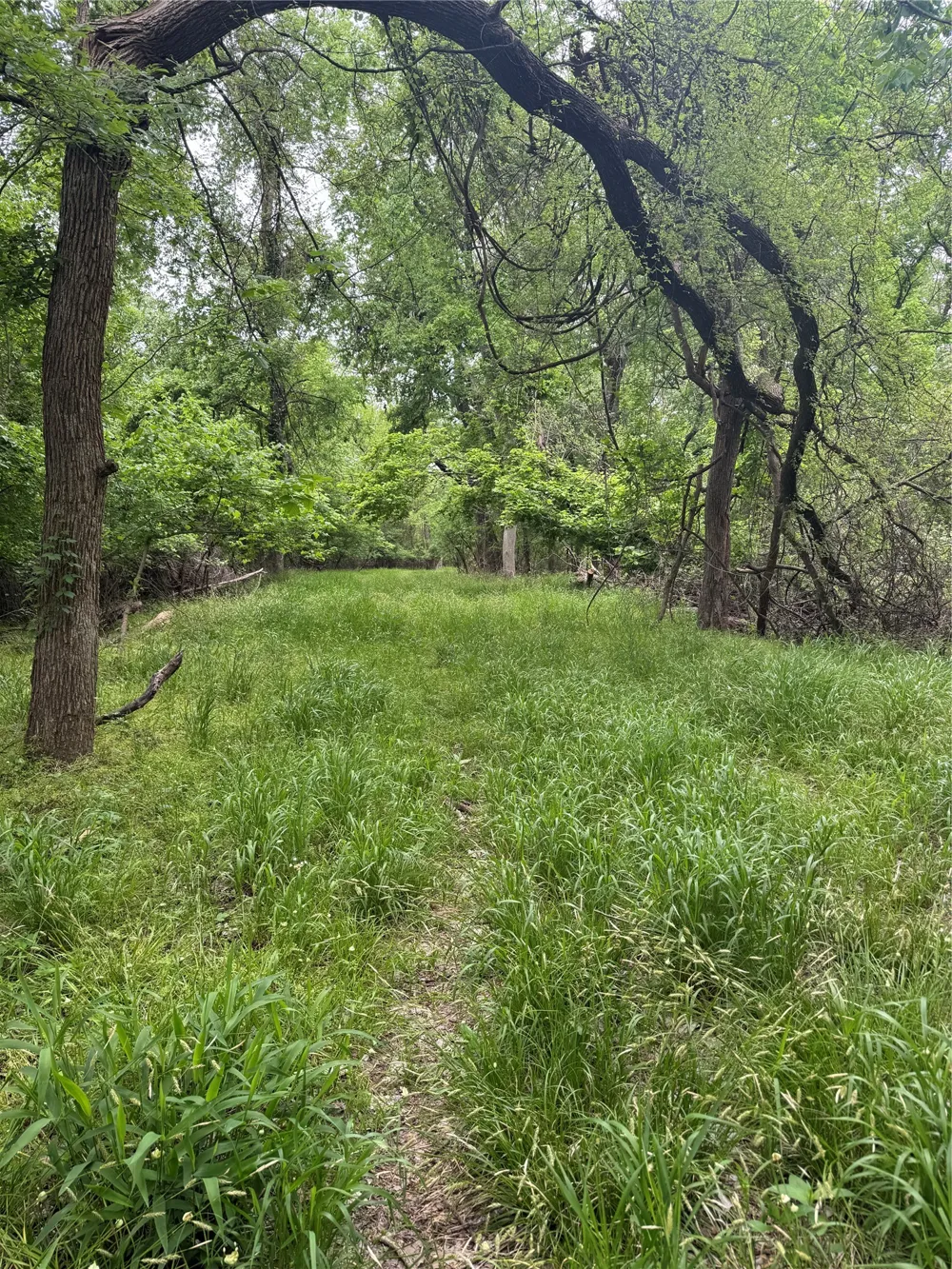 County Road 4757 Boyd, TX 76023