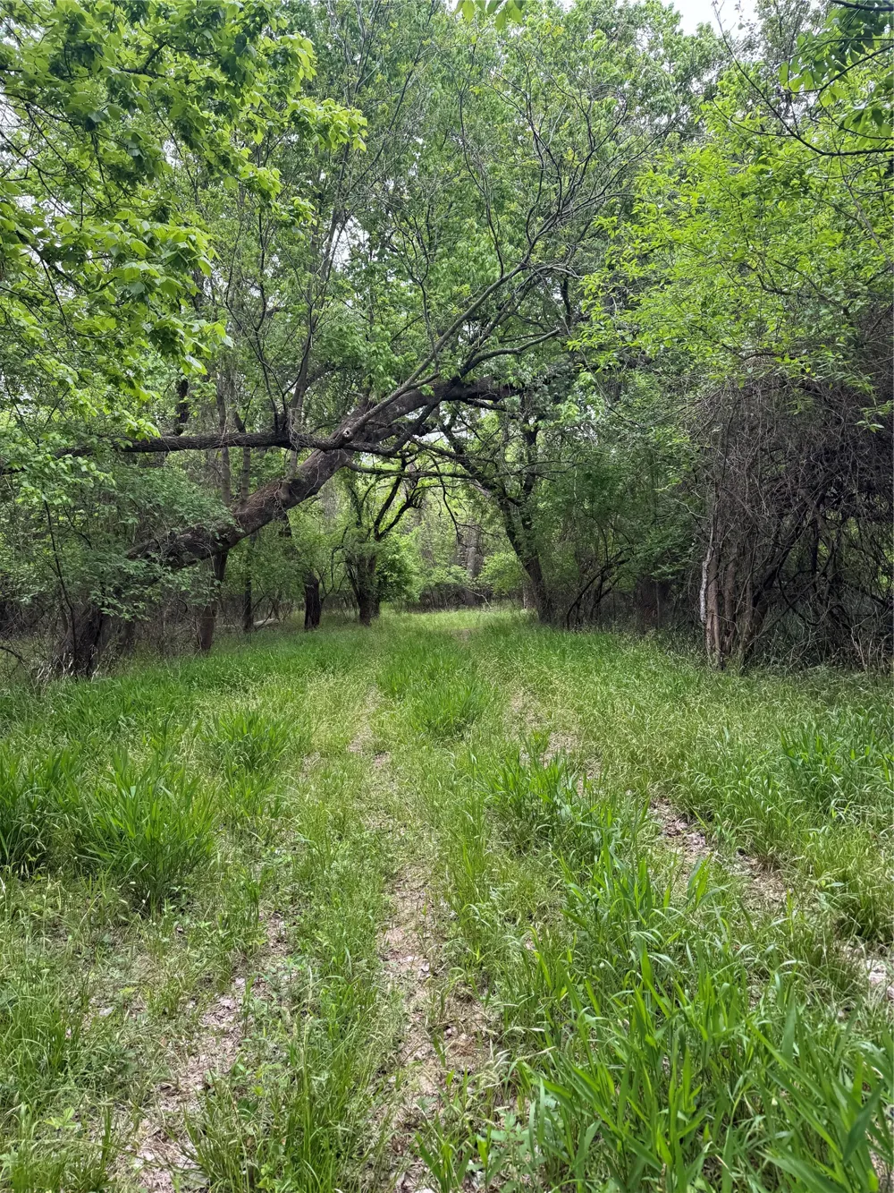 County Road 4757 Boyd, TX 76023