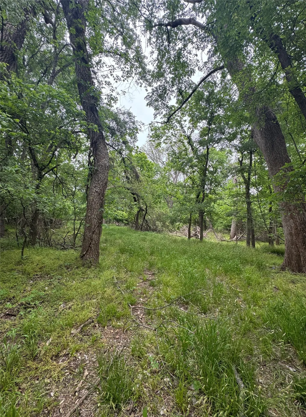 County Road 4757 Boyd, TX 76023