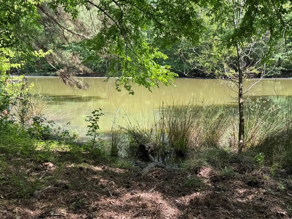 16649 County Road 4252D Henderson, TX 75654