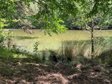 16649 County Road 4252D