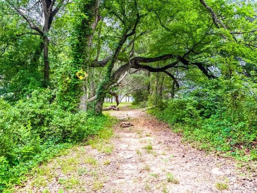 County Road 891 Jewett, TX 75846