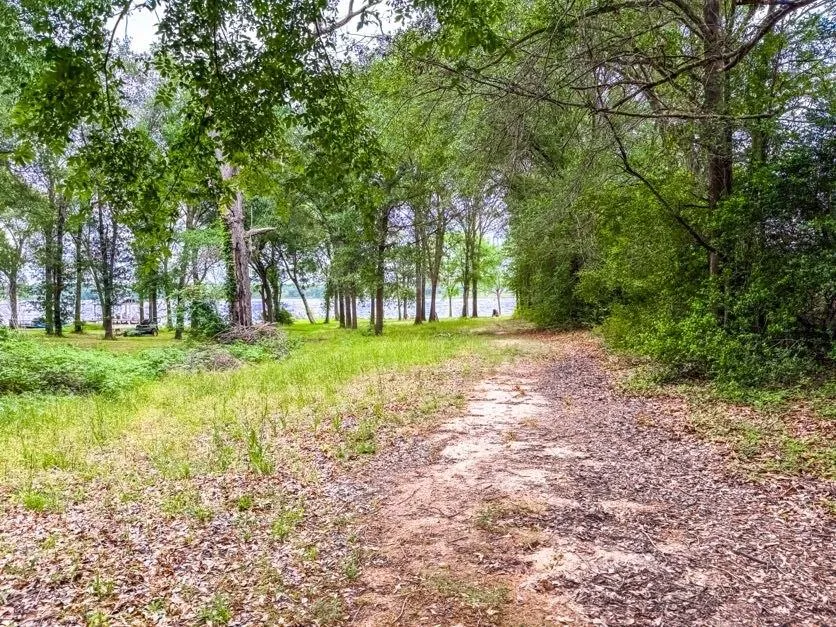 County Road 891 Jewett, TX 75846