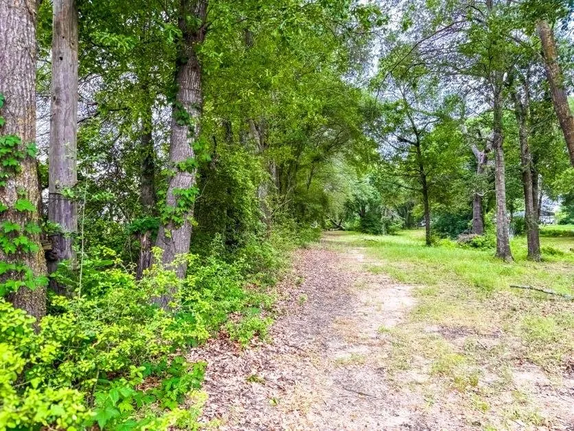 County Road 891 Jewett, TX 75846