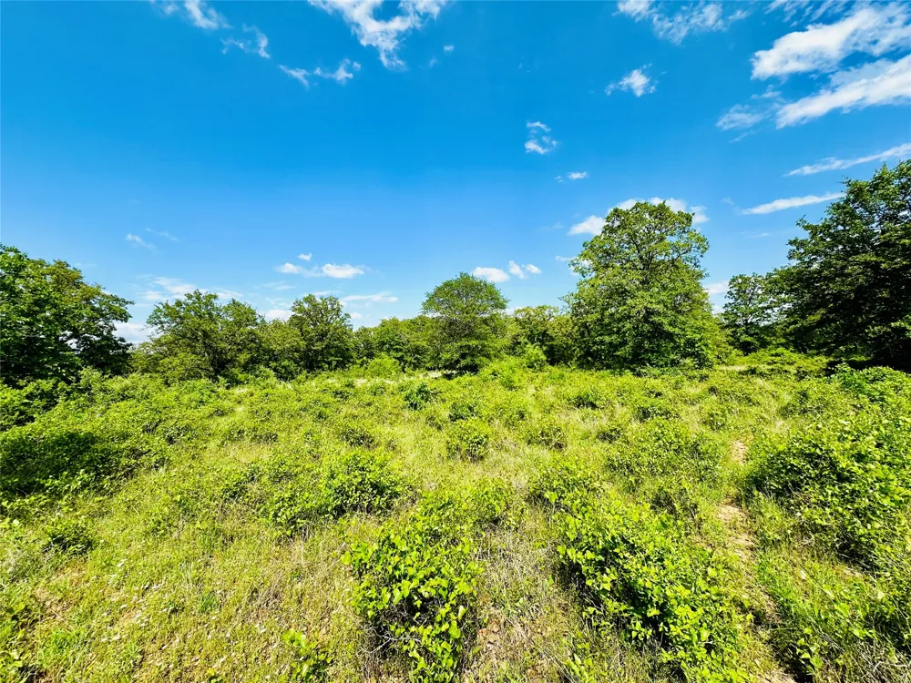 Cr 429 Cross Plains, TX 76443