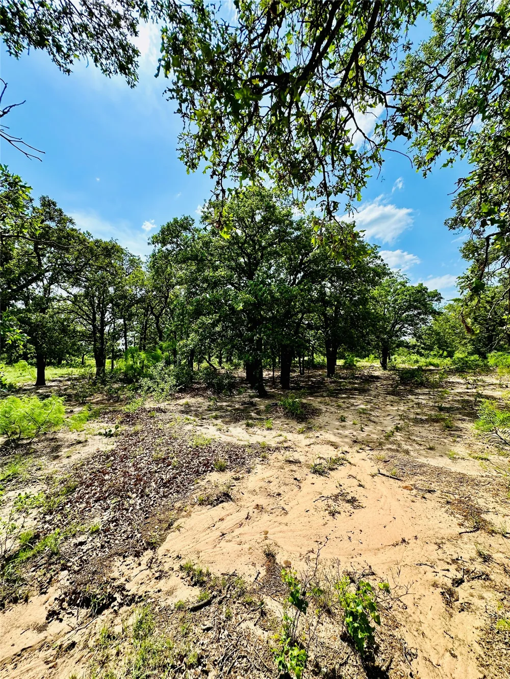 Cr 429 Cross Plains, TX 76443