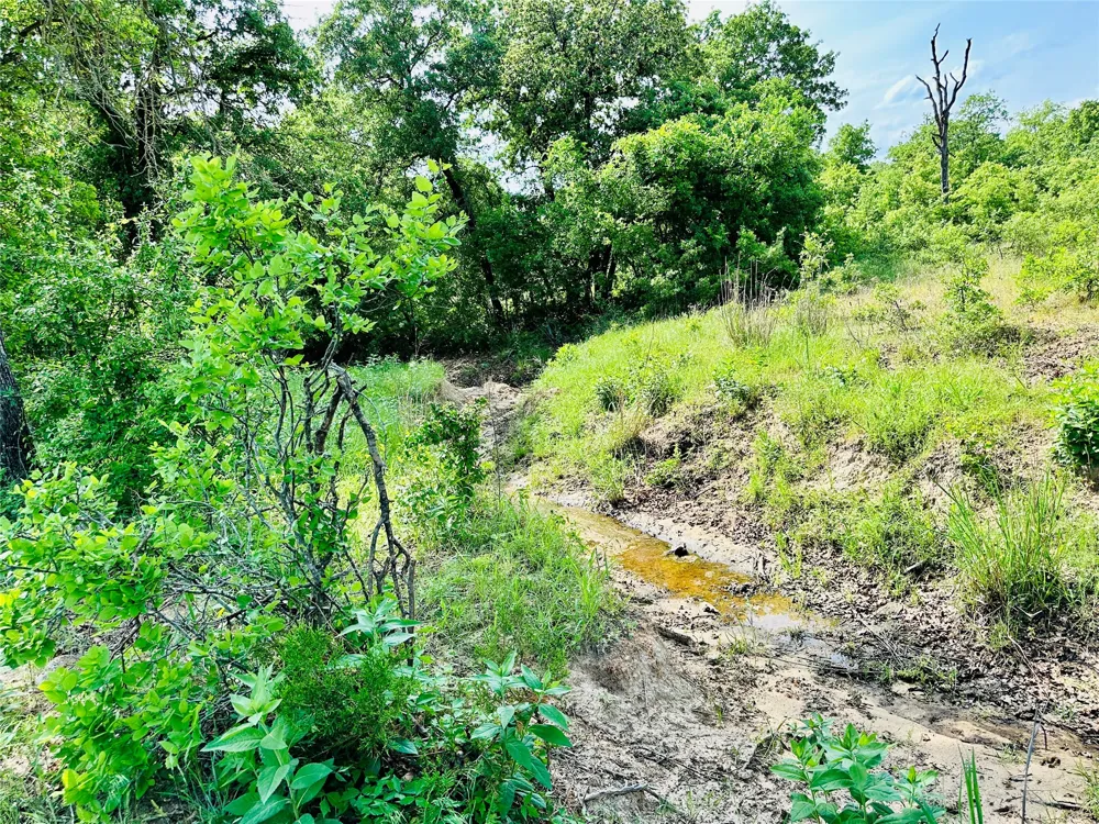 Cr 429 Cross Plains, TX 76443