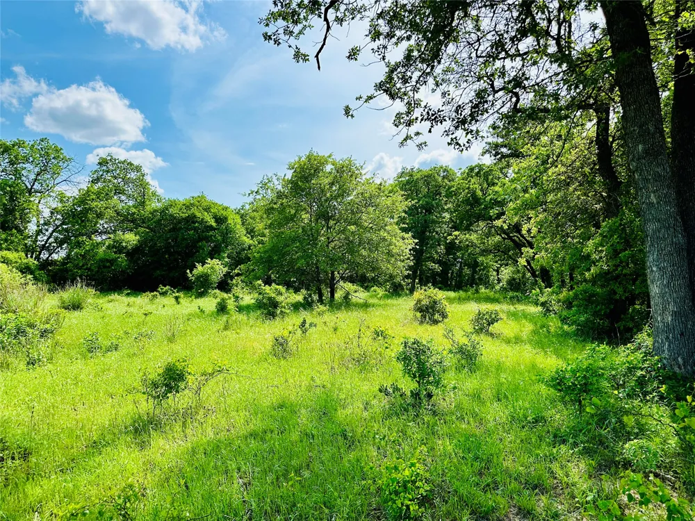 Cr 429 Cross Plains, TX 76443