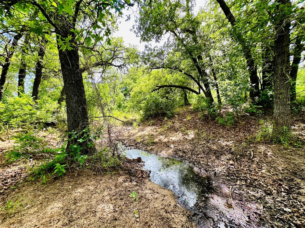 Cr 429 Cross Plains, TX 76443