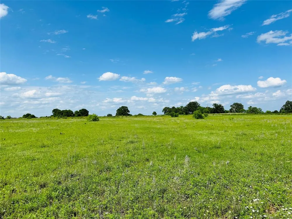 Cr 429 Cross Plains, TX 76443