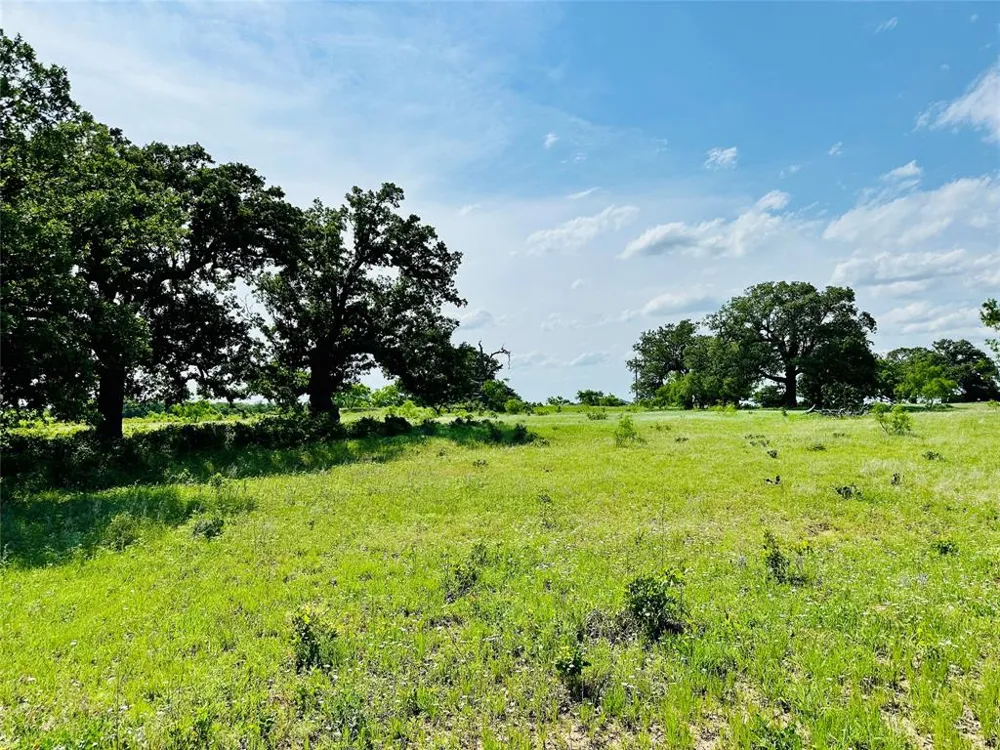 Cr 429 Cross Plains, TX 76443
