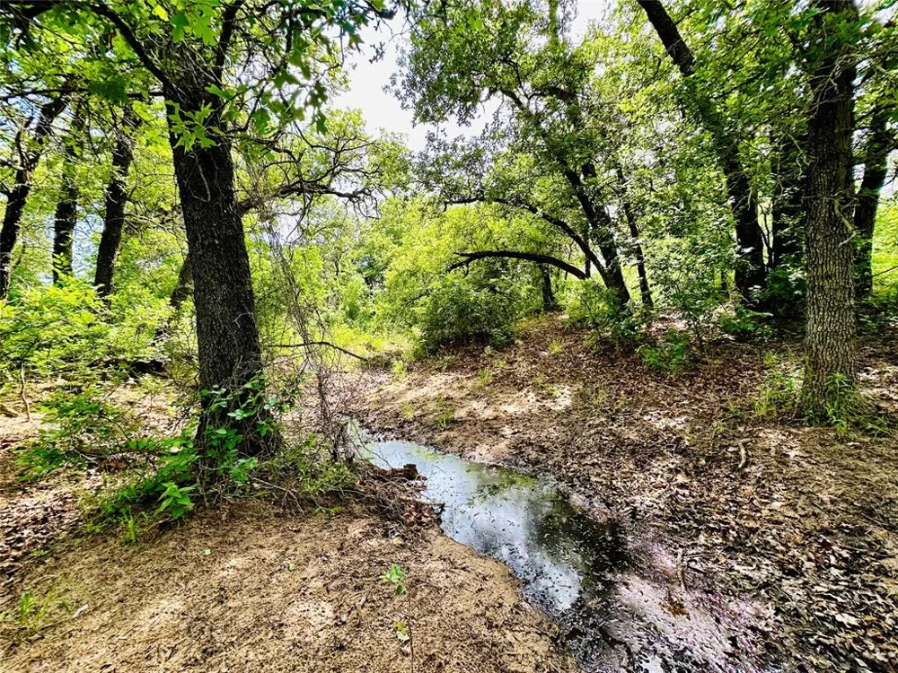 Cr 429 Cross Plains, TX 76443