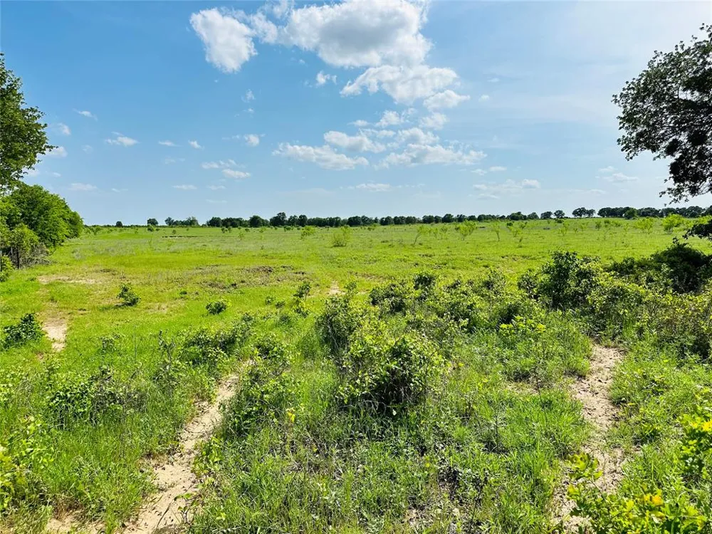 Cr 429 Cross Plains, TX 76443